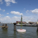 Illustration for article titled A Floating Forest Will Add Instant Greenery to Rotterdam's Harbor